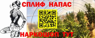 a pvp Ирбит