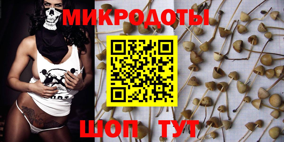 Псилоцибиновые грибы Cubensis Ленинск-Кузнецкий