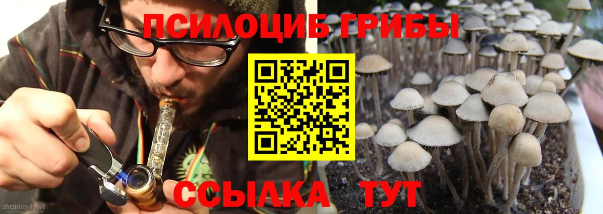 Ленинск-Кузнецкий  Псилоцибиновые грибы MAGIC MUSHROOMS  Вход с VPN 